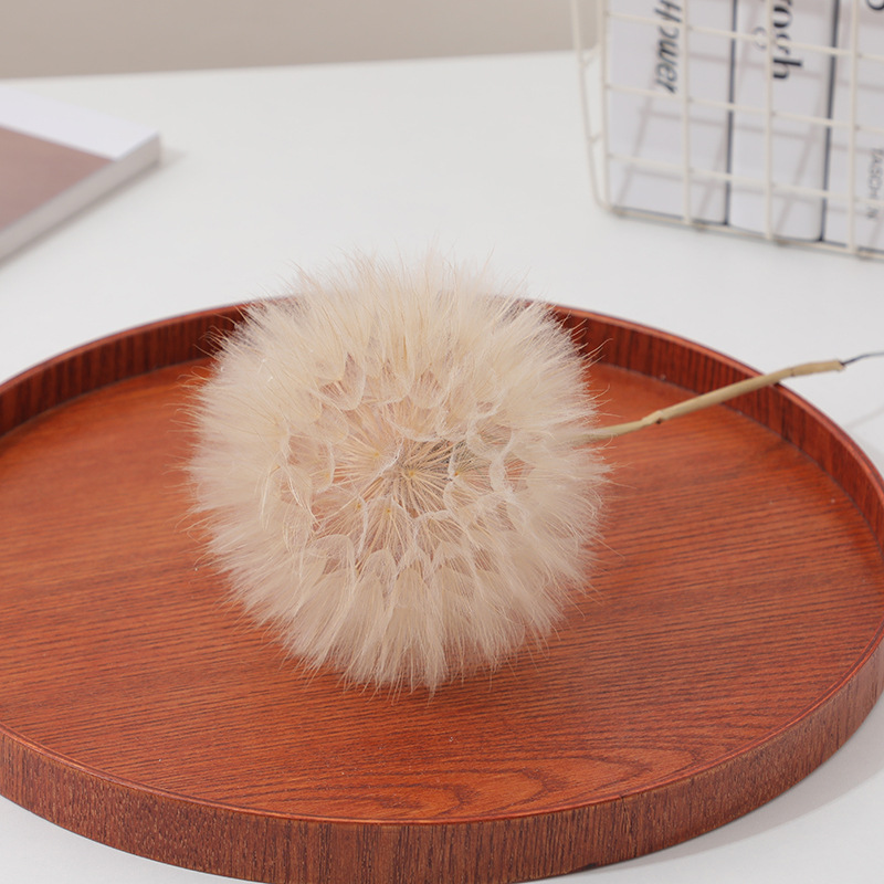 Kurutulmuş Karahindiba DIY Epo - Crafting Resin incelemesi ve fiyatı