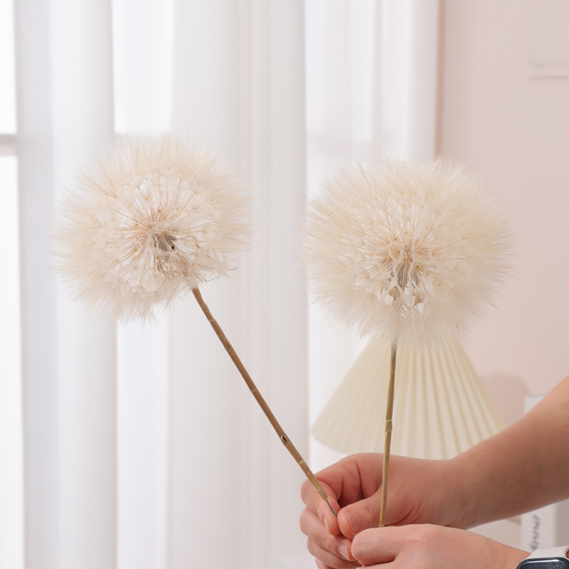 Kurutulmuş Karahindiba DIY Epo - Crafting Resin incelemesi ve fiyatı