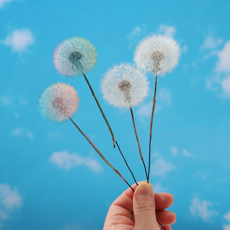 Kurutulmuş Karahindiba DIY Epo - Crafting Resin incelemesi ve fiyatı